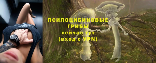 МДПВ Зерноград