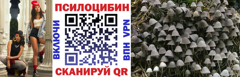 Купить закладки  Никольск  Галлюциногенные грибы Magic Shrooms 
